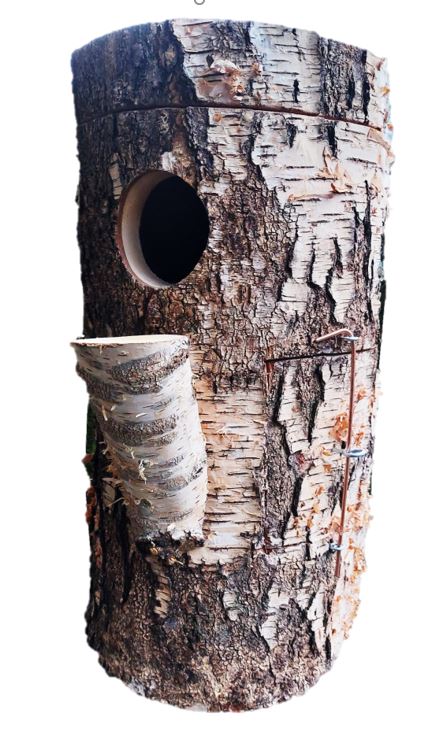 Nisthöhle für Bergsittiche