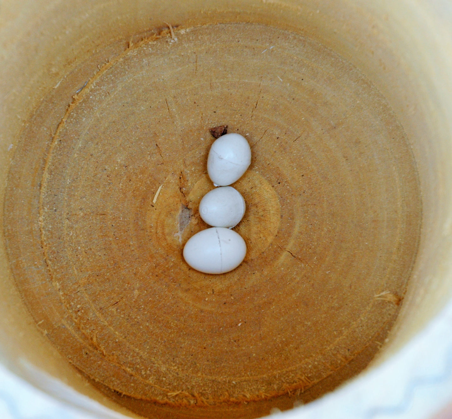 Unterschlupf- Spielhöhle für Papageien, Amazonen, Kakadus usw.