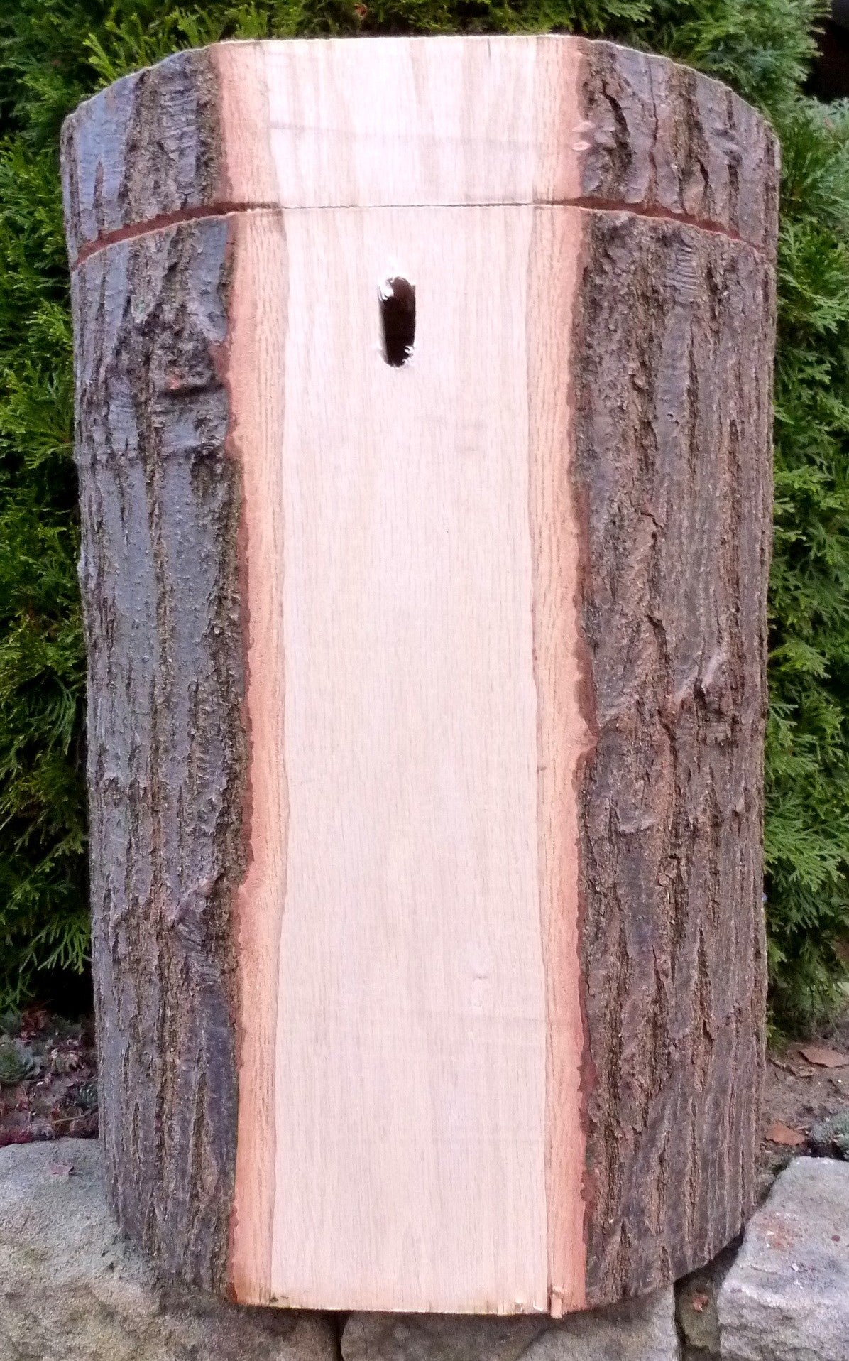 Nisthöhle für Graupapageien, Edelpapageien, Amazonen usw.