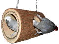Schaukeln