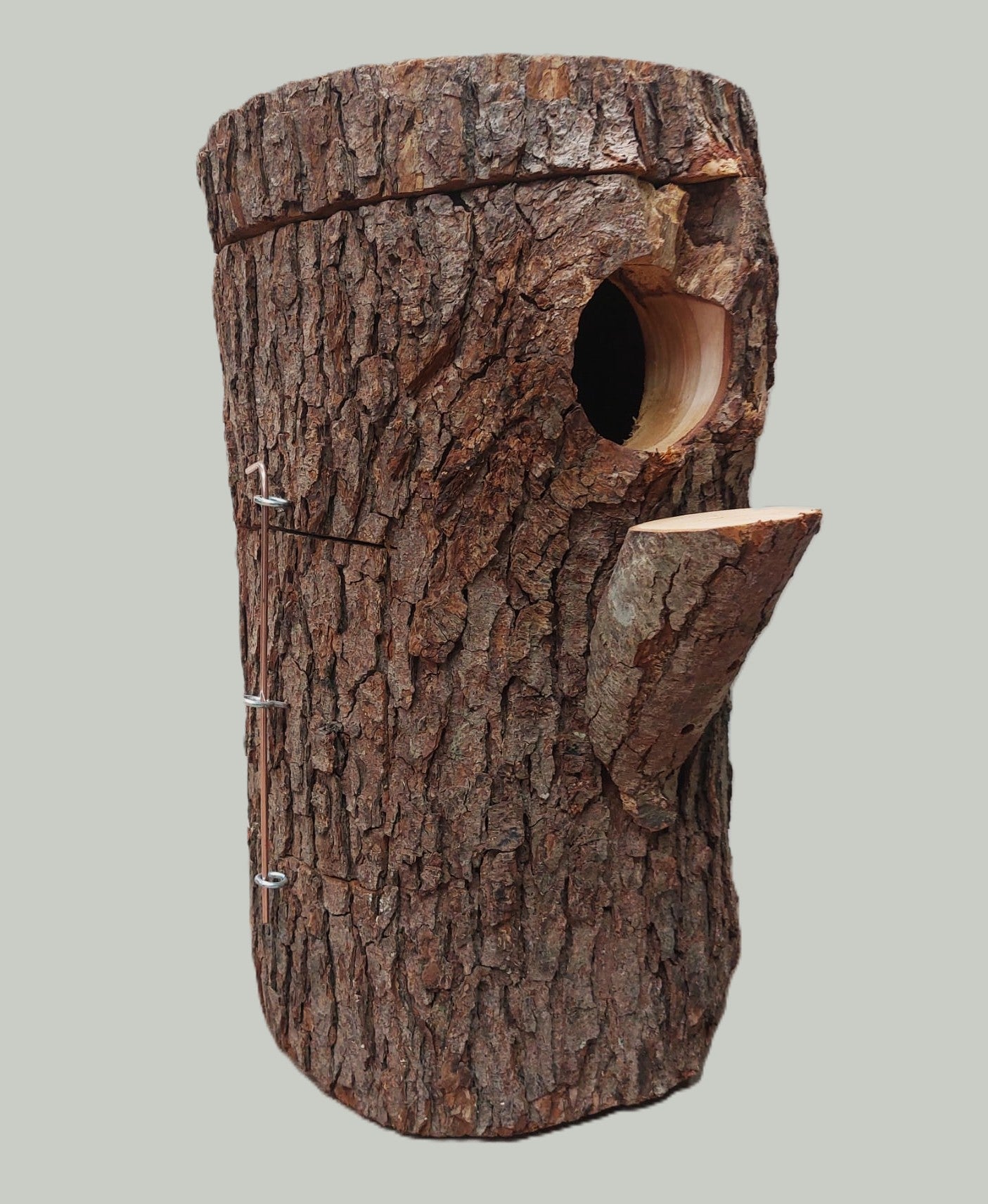 Nisthöhle für grüne Kongo-Papageien