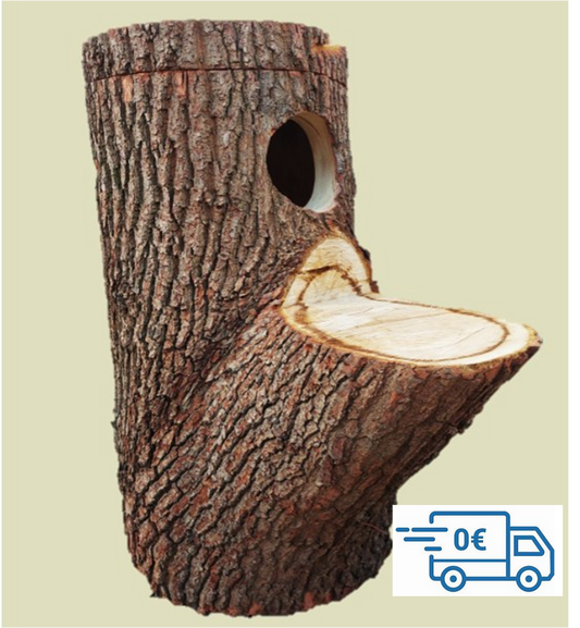 Naturstamm Nisthöhle aus Eiche für Gelbbrustaras, Canidearas, kleine Soldatenaras usw.